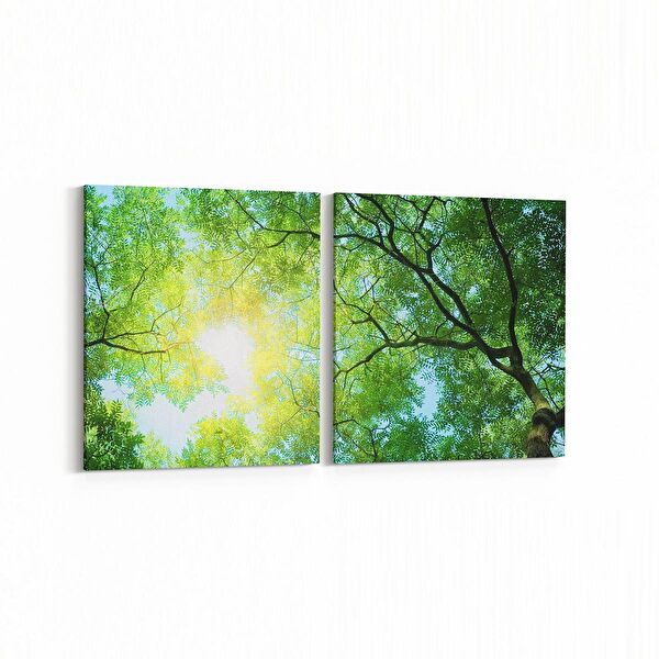 olla.market Kanvas Tablo