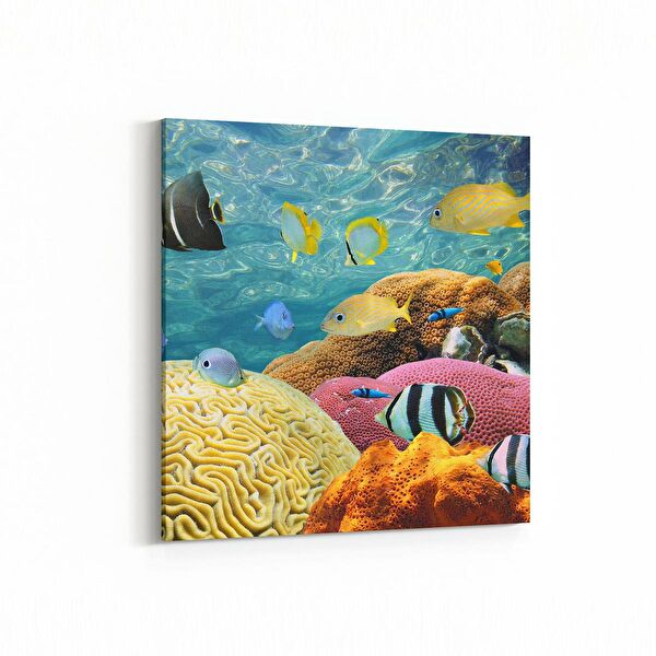 olla.market Kanvas Tablo