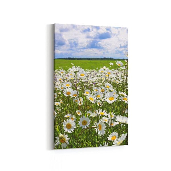 olla.market Kanvas Tablo