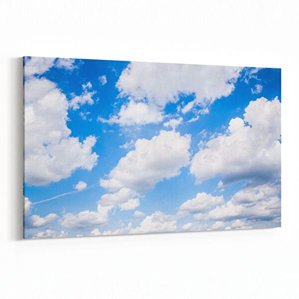 olla.market Kanvas Tablo