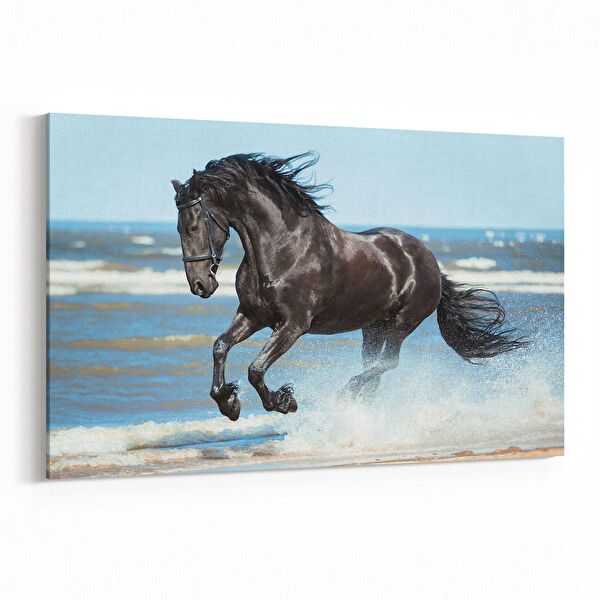 olla.market Kanvas Tablo