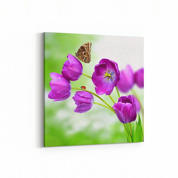 olla.market Kanvas Tablo