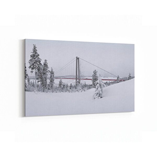 olla.market Kanvas Tablo