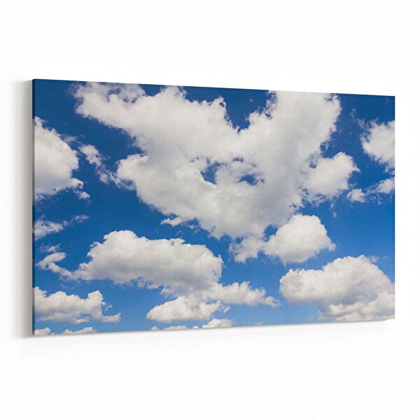 olla.market Kanvas Tablo