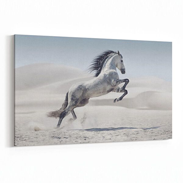 olla.market Kanvas Tablo