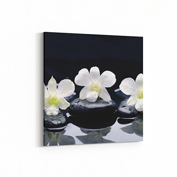 olla.market Kanvas Tablo