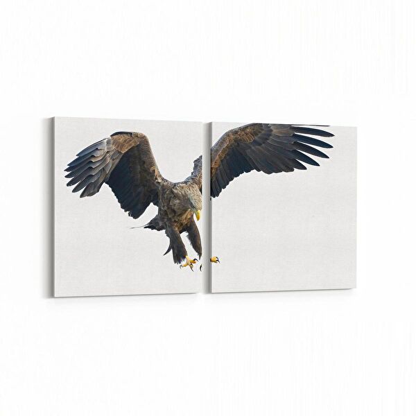 olla.market Kanvas Tablo