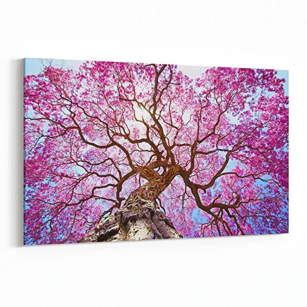 olla.market Kanvas Tablo