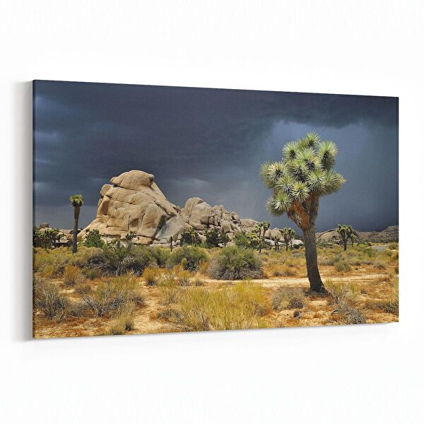 olla.market Kanvas Tablo