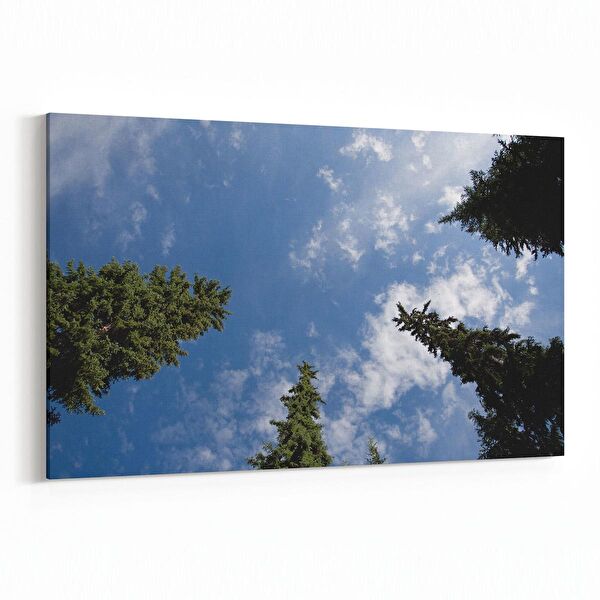 olla.market Kanvas Tablo