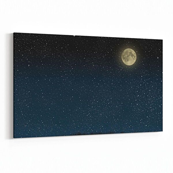 olla.market Kanvas Tablo