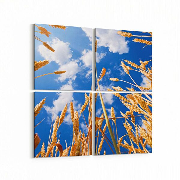 olla.market Kanvas Tablo