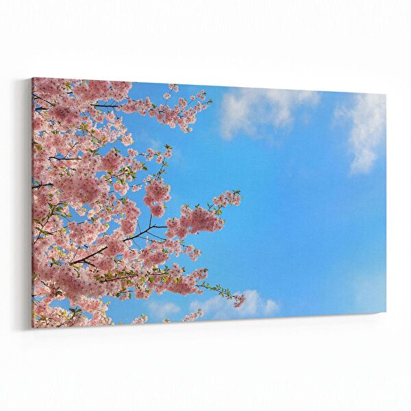 olla.market Kanvas Tablo