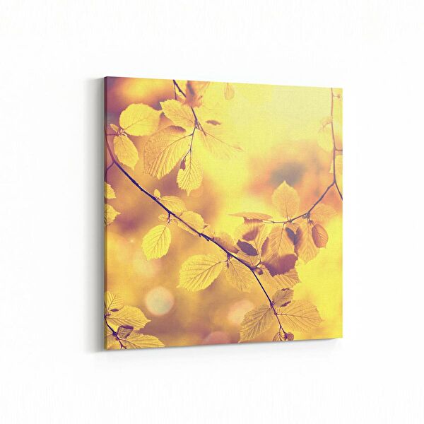 olla.market Kanvas Tablo