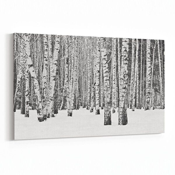 olla.market Kanvas Tablo