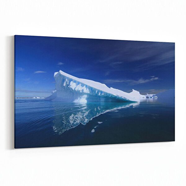 olla.market Kanvas Tablo