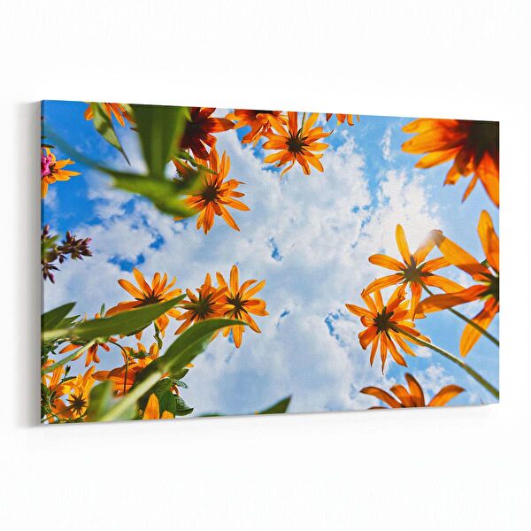 olla.market Kanvas Tablo