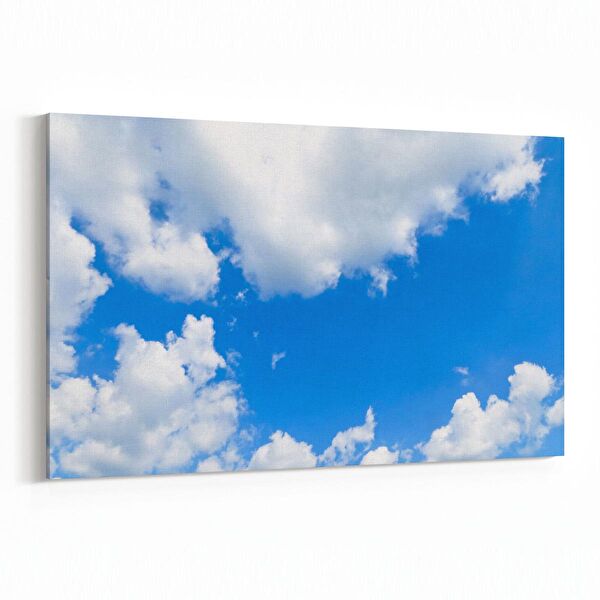 olla.market Kanvas Tablo