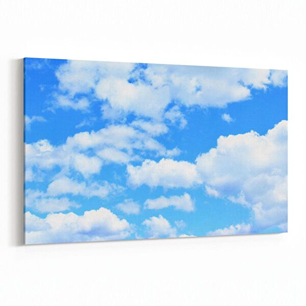 olla.market Kanvas Tablo