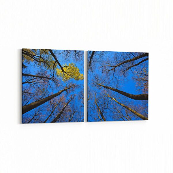 olla.market Kanvas Tablo