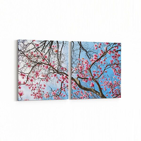 olla.market Kanvas Tablo