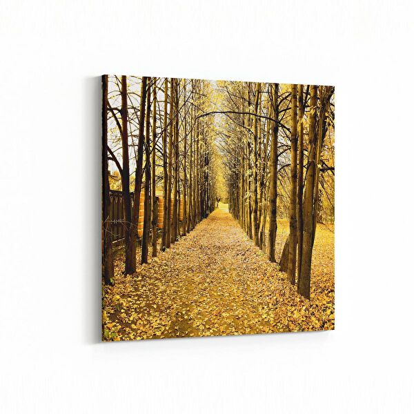 olla.market Kanvas Tablo