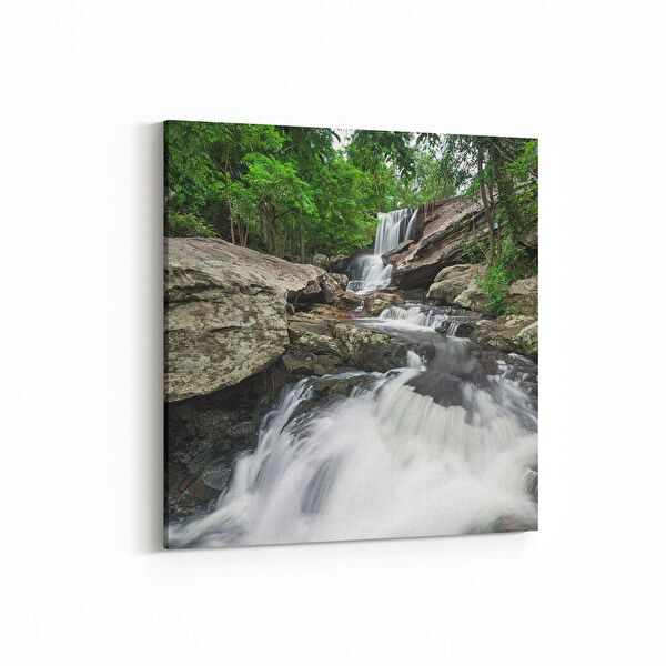 olla.market Kanvas Tablo