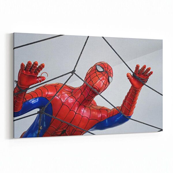 olla.market Kanvas Tablo