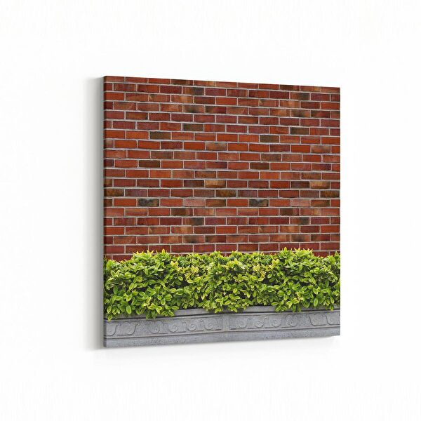 olla.market Kanvas Tablo