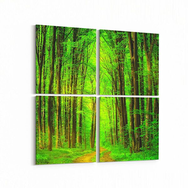 olla.market Kanvas Tablo