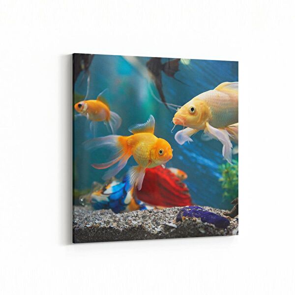 olla.market Kanvas Tablo