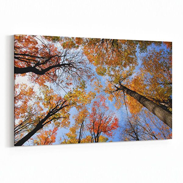 olla.market Kanvas Tablo