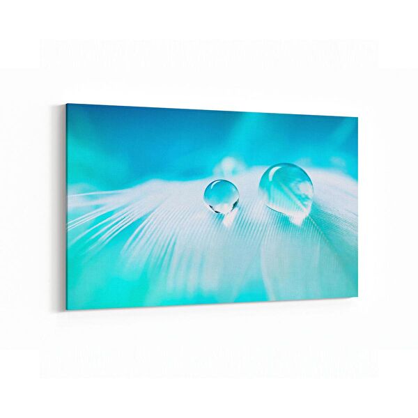 olla.market Kanvas Tablo