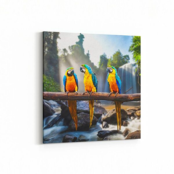 olla.market Kanvas Tablo