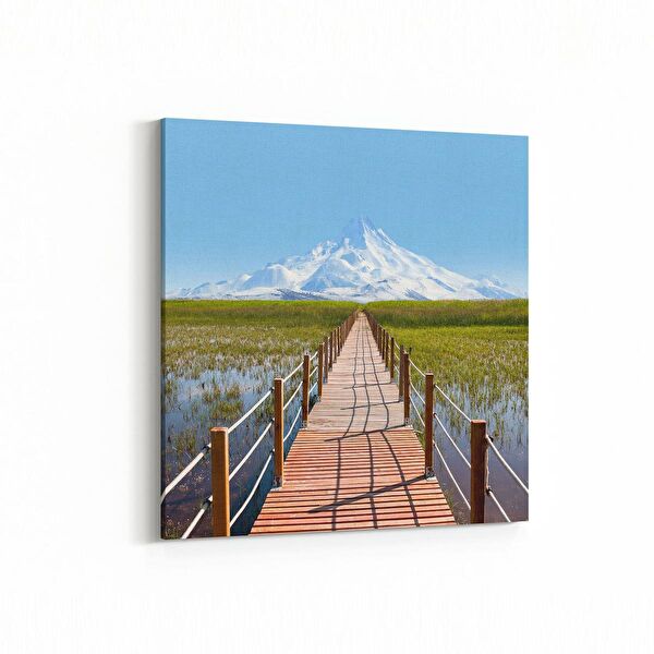 olla.market Kanvas Tablo