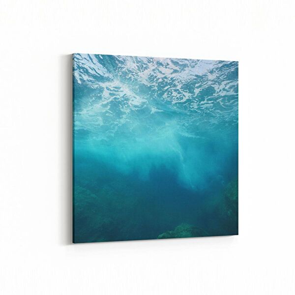 olla.market Kanvas Tablo