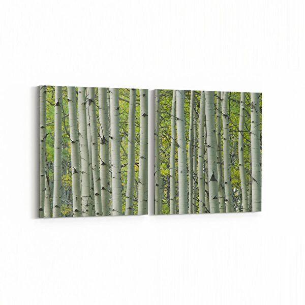 olla.market Kanvas Tablo