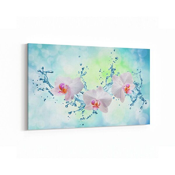 olla.market Kanvas Tablo