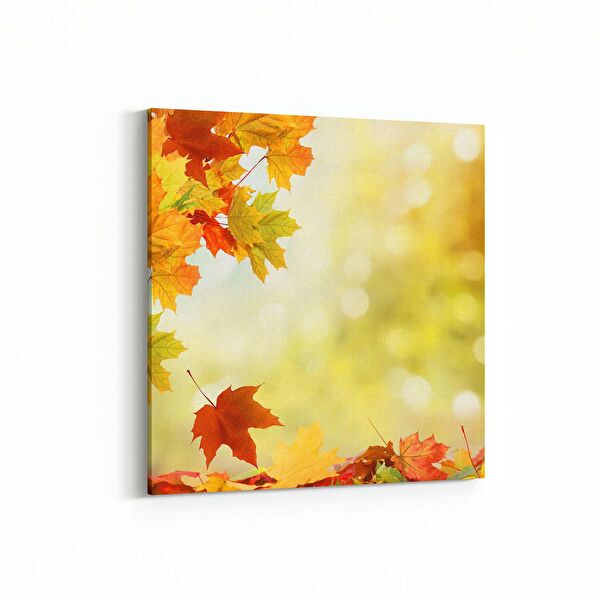 olla.market Kanvas Tablo