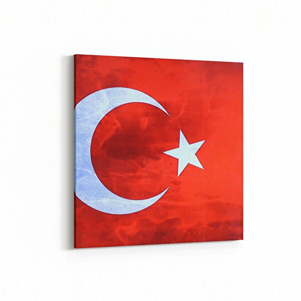 olla.market Kanvas Tablo