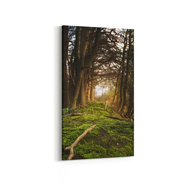 olla.market Kanvas Tablo