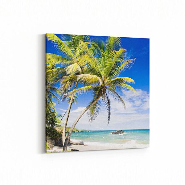 olla.market Kanvas Tablo