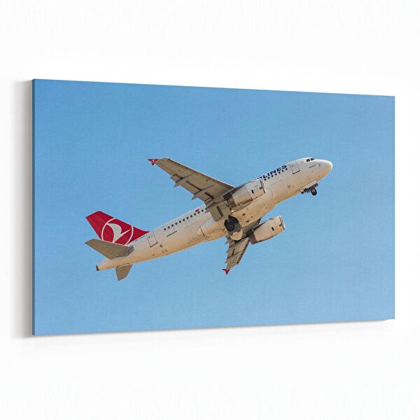 olla.market Kanvas Tablo