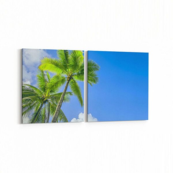 olla.market Kanvas Tablo