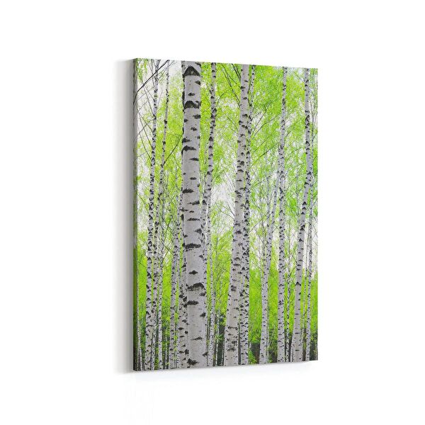 olla.market Kanvas Tablo