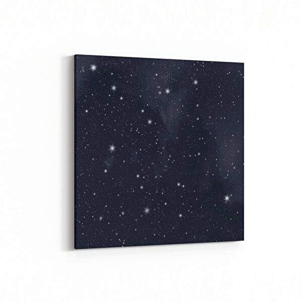 olla.market Kanvas Tablo