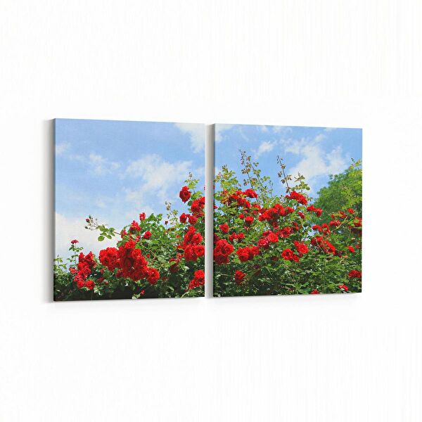 olla.market Kanvas Tablo