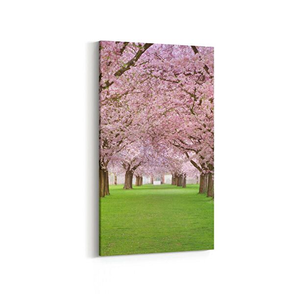 olla.market Kanvas Tablo