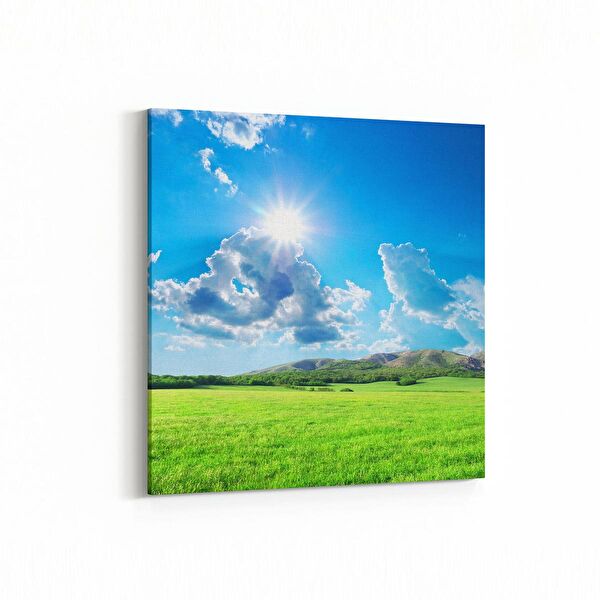 olla.market Kanvas Tablo