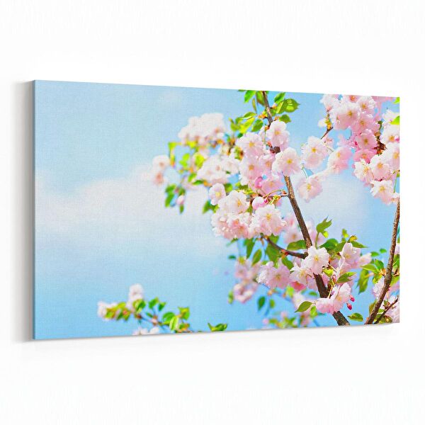 olla.market Kanvas Tablo